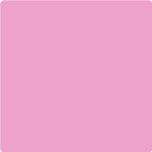 017 Rose Pastel 017 Rose Pastel