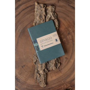 Juego de 2 cuadernos A5 Ginkgo - Clairefontaine Juego de 2 cuadernos A5 Ginkgo - Clairefontaine