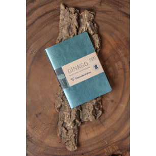 Juego de 2 cuadernos A5 Ginkgo - Clairefontaine Juego de 2 cuadernos A5 Ginkgo - Clairefontaine