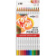 Boîte de crayons de couleur - Darwi For You
