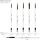 Acrylic Brushes - Darwi for You