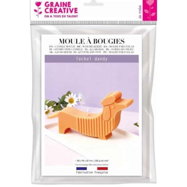 Moule Thermoforme 2 formes - Graine Créative