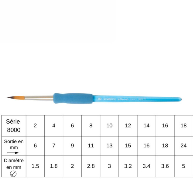 Pinceaux Symbiose Série 8000 – Raphaël