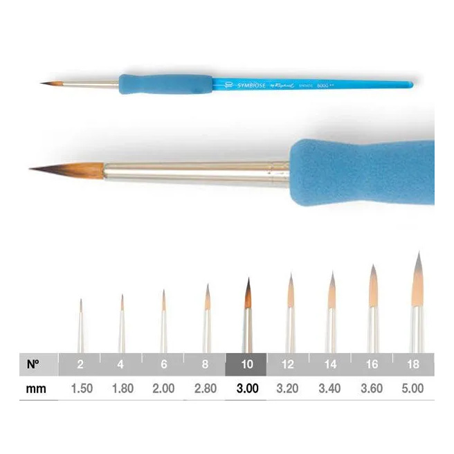 Pinceaux Symbiose Série 8000 – Raphaël