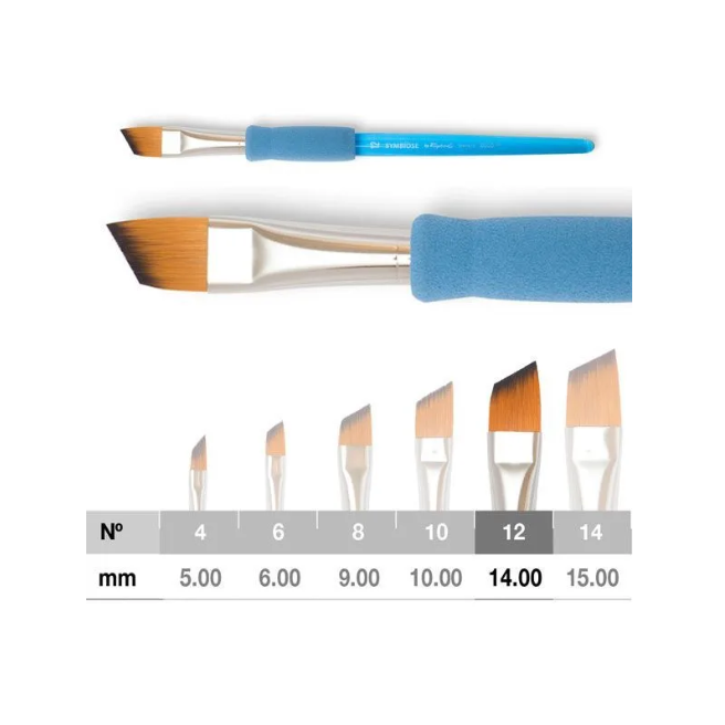 Symbiose angled brushes - Series 8060 - Raphael