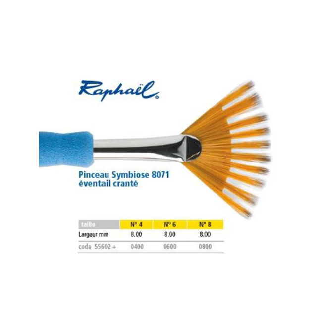 Pinceaux Symbiose éventail cranté - Série 8071 – Raphaël