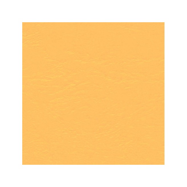 Pâte polymère Fimo Leather-Effect Pâte polymère Fimo Leather-Effect