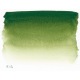 Sennelier Aquarelle - 1/2 godet : Catégorie couleurs:Vert , Couleurs:Vert de Vessie 819