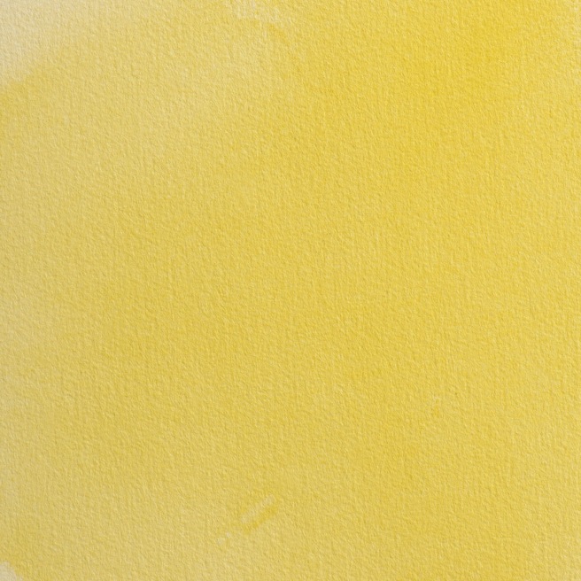 Blockx aquarelle 1/2 Godet Blockx aquarelle 1/2 Godet