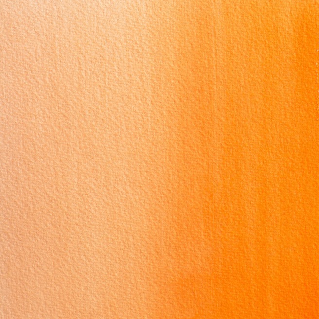 Blockx aquarelle 1/2 Godet Blockx aquarelle 1/2 Godet