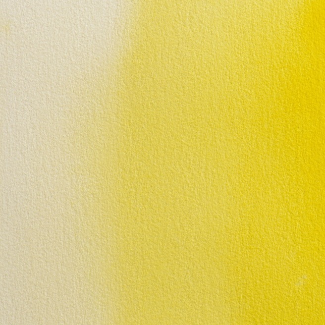 Blockx aquarelle 1/2 Godet Blockx aquarelle 1/2 Godet