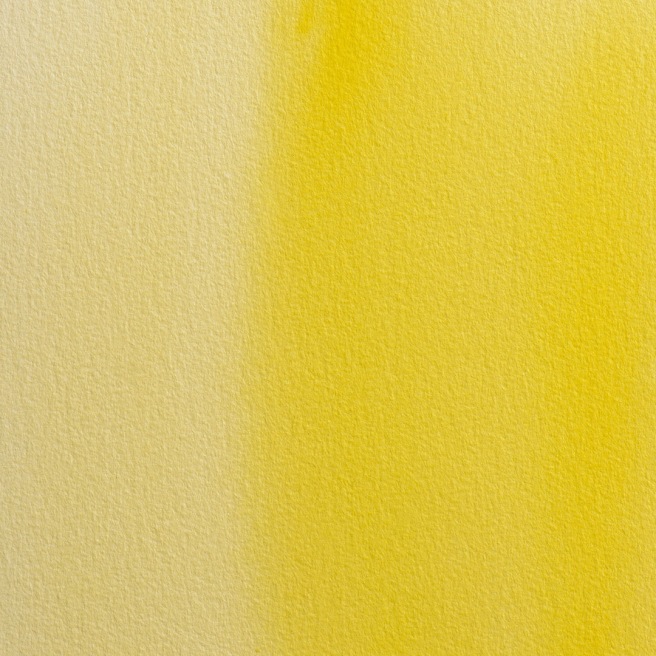 Blockx aquarelle 1/2 Godet Blockx aquarelle 1/2 Godet