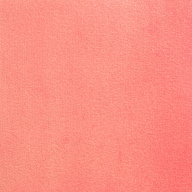 Blockx aquarelle 1/2 Godet Blockx aquarelle 1/2 Godet