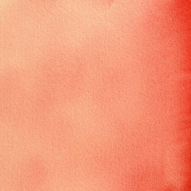 Blockx aquarelle 1/2 Godet Blockx aquarelle 1/2 Godet