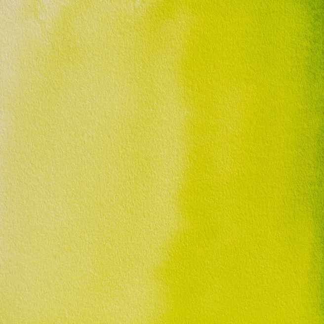 Blockx aquarelle 1/2 Godet Blockx aquarelle 1/2 Godet