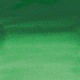 Sennelier Aquarelle - Cup : Couleurs:Vert de Cadmium Clair Véritable 823