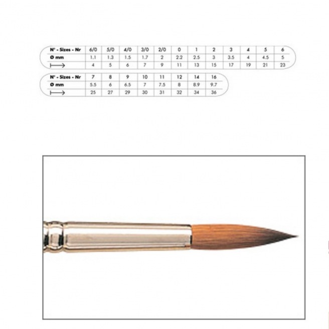 Pinceau rond pointu - série 8404 - Raphaël