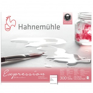Hahnemühle® Expressieblok - 300 gr/m² - Aan 4 zijden verlijmd - Fijne korrel