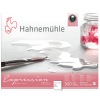 Hahnemühle® Expression block - 300 gr/m² - Glued on 4 sides - Fine grain