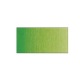 Winsor & Newton Water Color - 14ml Tube : Color category :Green, Couleurs:503 Bert de vessie permanent