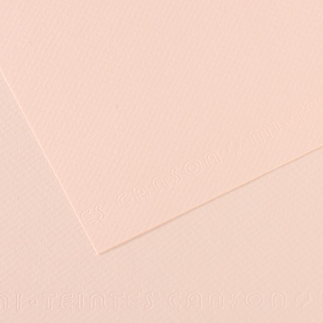 Canson® - feuille Mi-Teintes® Canson® - feuille Mi-Teintes®