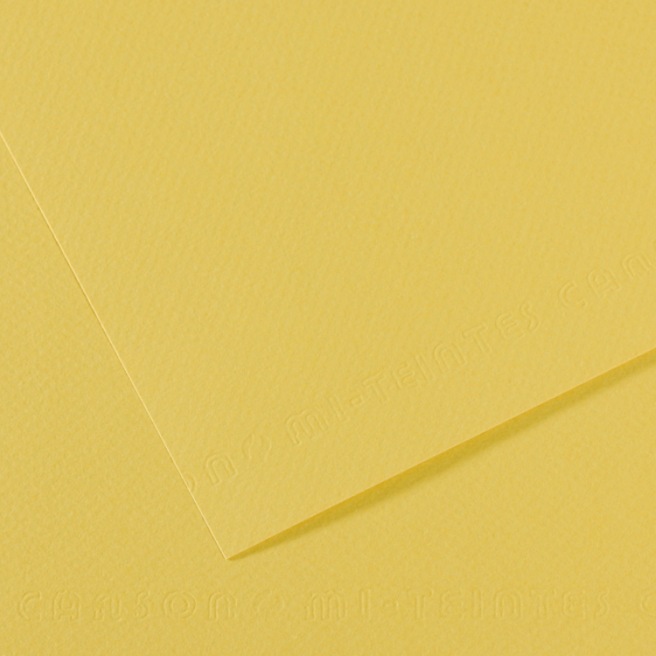 Canson® - feuille Mi-Teintes® Canson® - feuille Mi-Teintes®