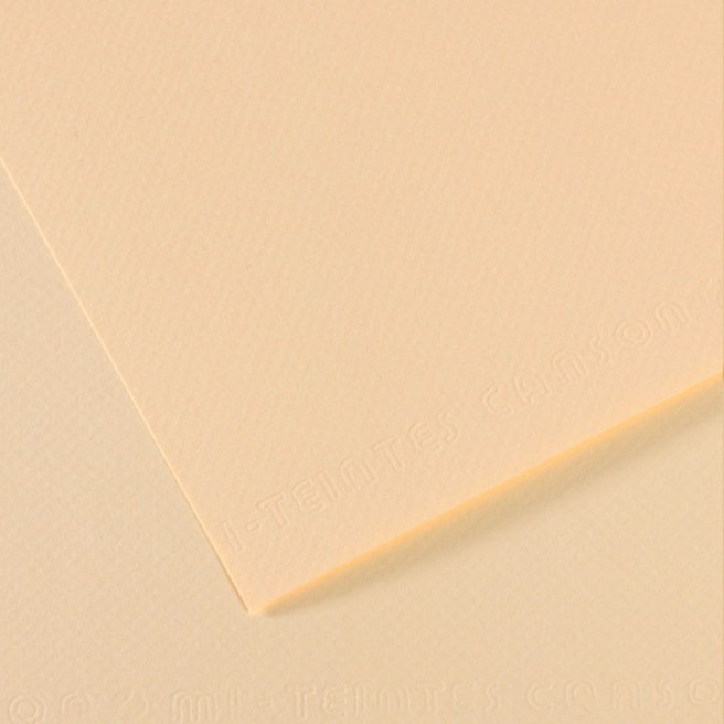 Canson® - feuille Mi-Teintes® Canson® - feuille Mi-Teintes®