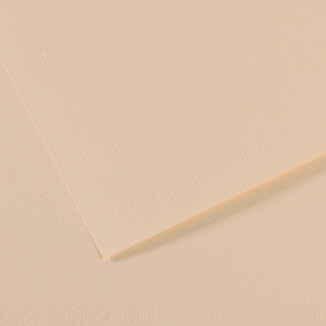 Canson® - feuille Mi-Teintes® Canson® - feuille Mi-Teintes®