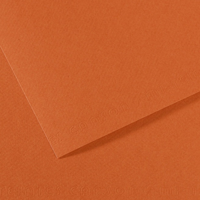 Canson® - feuille Mi-Teintes® Canson® - feuille Mi-Teintes®