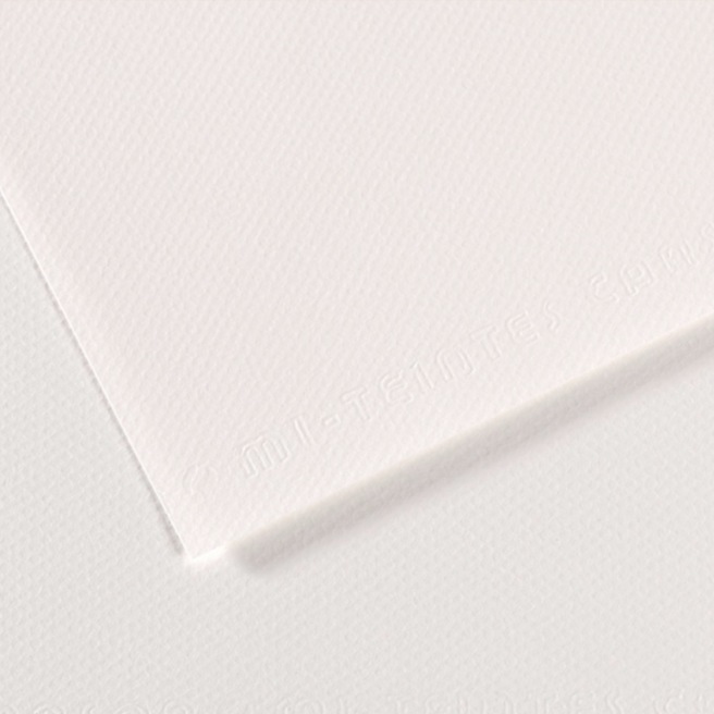 Canson® - feuille Mi-Teintes®