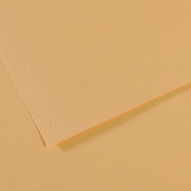 Canson® - feuille Mi-Teintes®
