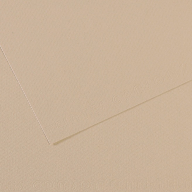 Canson® - feuille Mi-Teintes® Canson® - feuille Mi-Teintes®