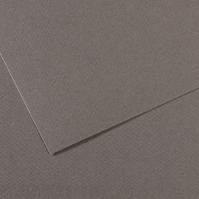 Canson® - feuille Mi-Teintes®