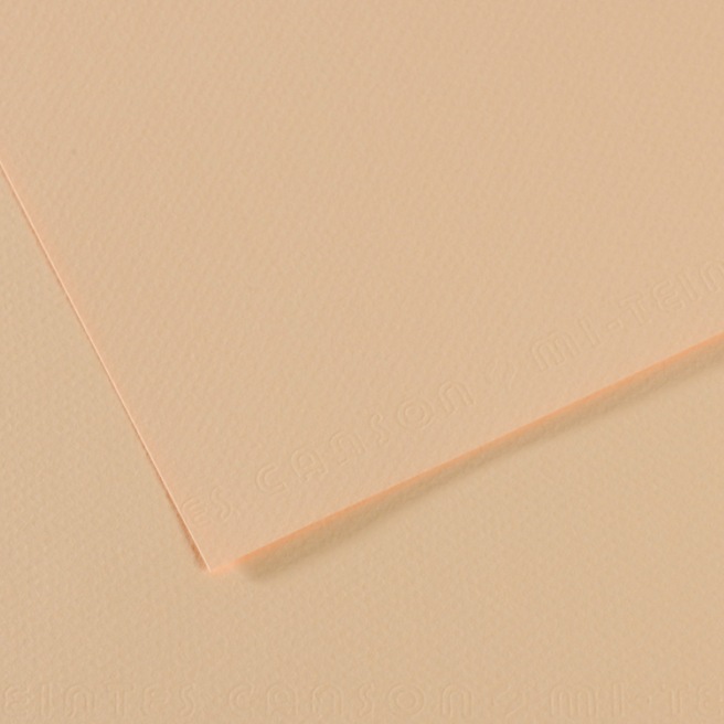Canson® - feuille Mi-Teintes®