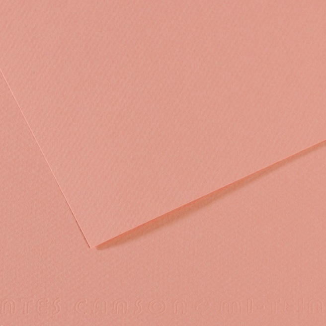 Canson® - feuille Mi-Teintes®