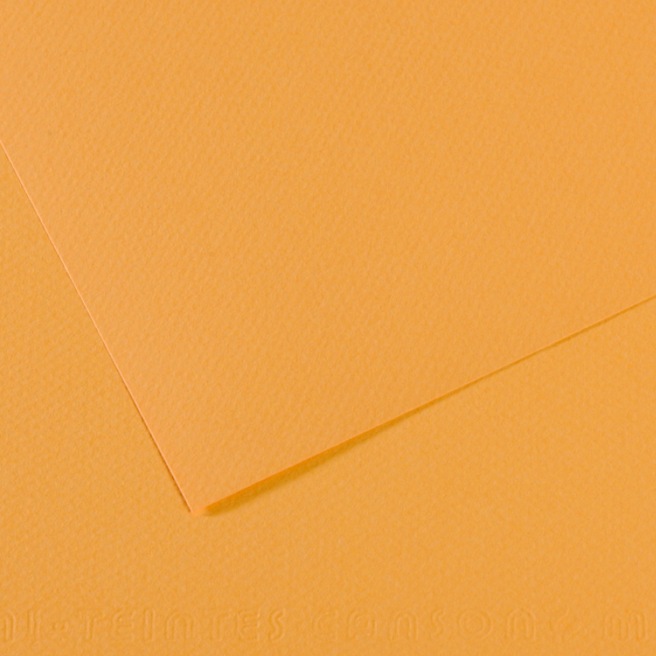 Canson® - feuille Mi-Teintes® Canson® - feuille Mi-Teintes®