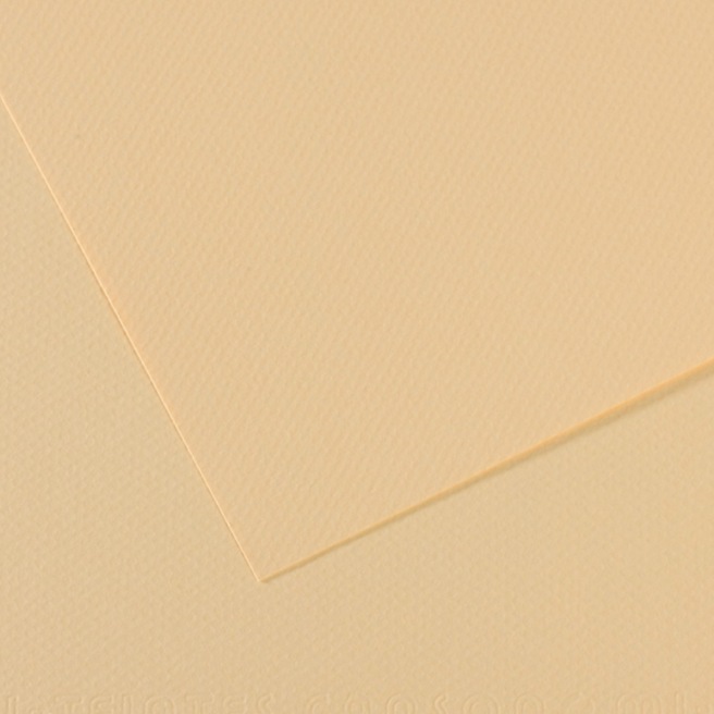 Canson® - feuille Mi-Teintes® Canson® - feuille Mi-Teintes®