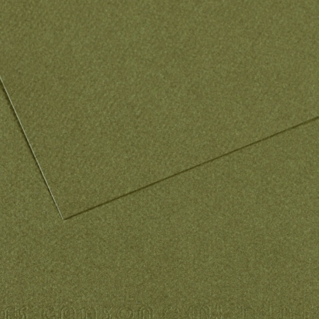 Canson® - feuille Mi-Teintes® Canson® - feuille Mi-Teintes®