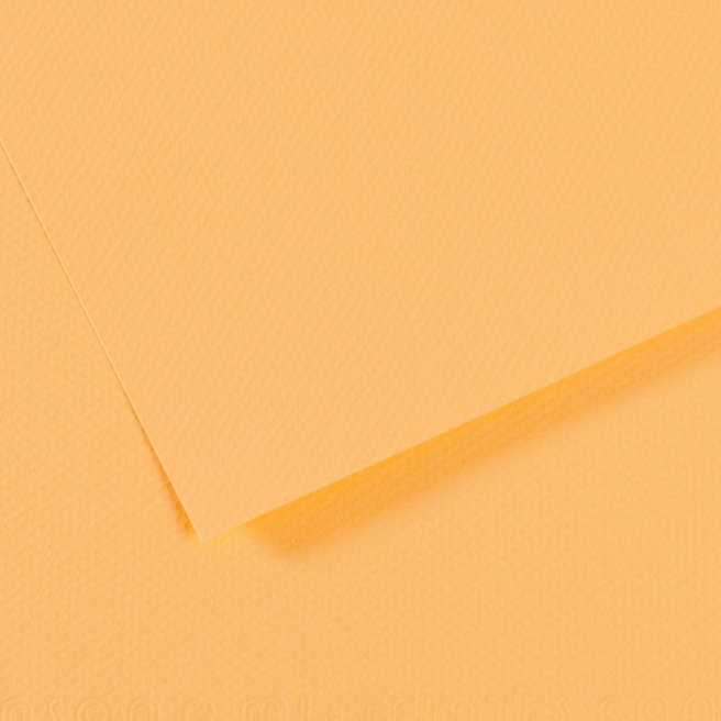 Canson® - feuille Mi-Teintes® Canson® - feuille Mi-Teintes®