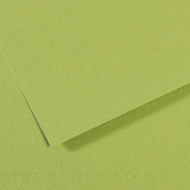 Canson® - feuille Mi-Teintes® Canson® - feuille Mi-Teintes®