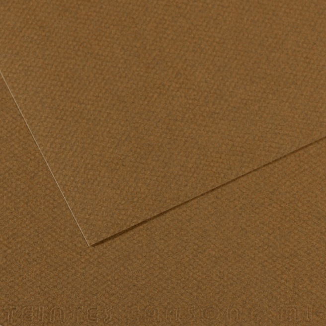 Canson® - feuille Mi-Teintes®