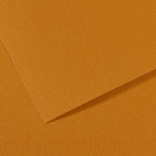 Canson® - feuille Mi-Teintes®