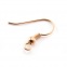 Boucles d'oreilles américaines