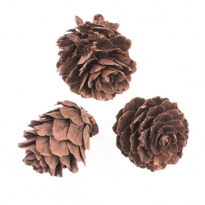 Décoration pour bougies Décoration pour bougies