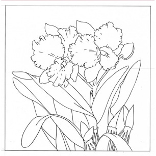 Dessins coussin 40 x40 cm Dessins coussin 40 x40 cm