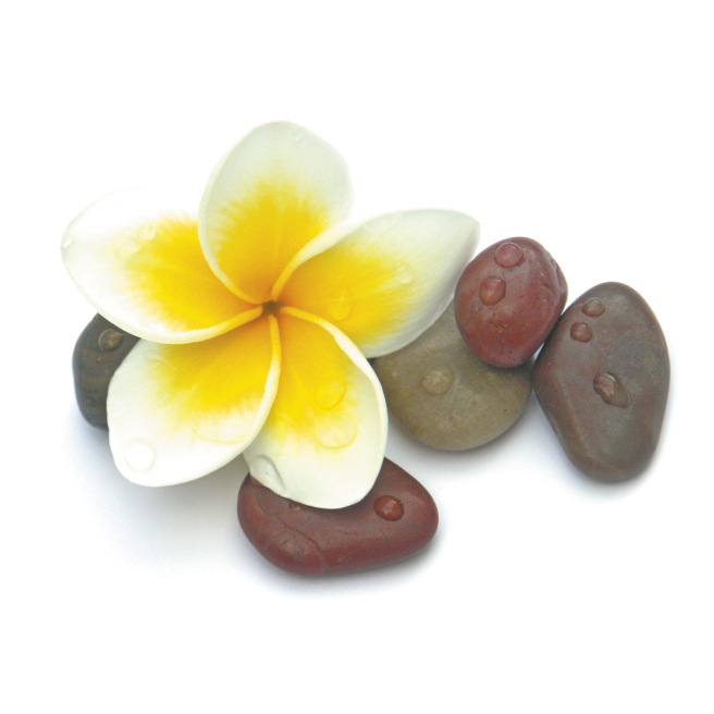 Senteur bougie - 27 ml Senteur bougie - 27 ml