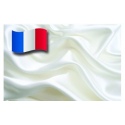 French Manufactured Silk Fabrics